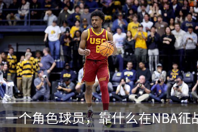 一个角色球员，靠什么在NBA征战17年